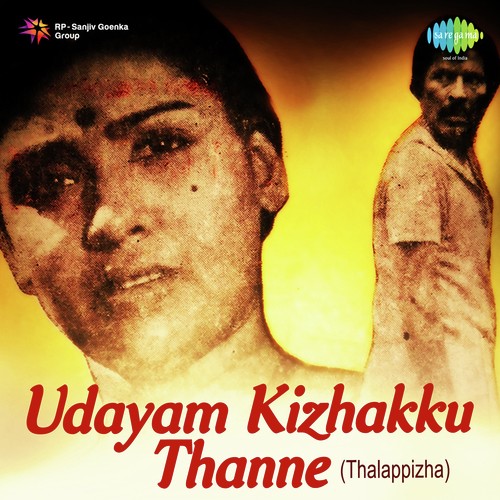 Madamilaki Thullunna - P. Madhuri