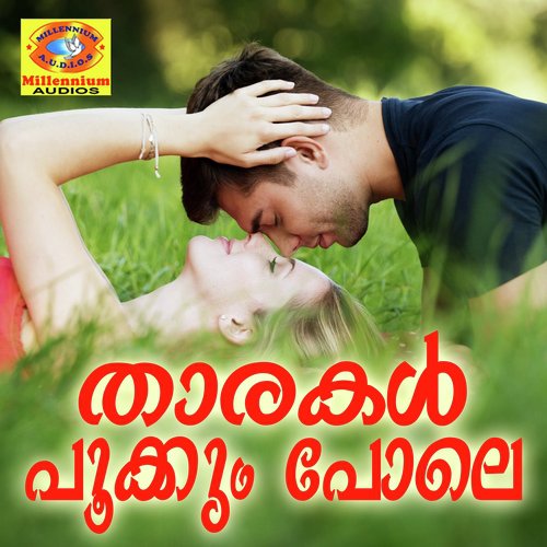 Aavani Chandrikapole - Rahul Nambiar, Nikhil Mathew, Ragini, Nithin Raj