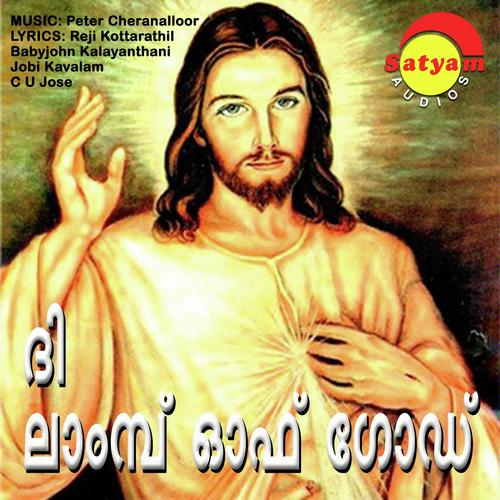 Vachanam Vithakkuvan - Nixon, Peter Cheranalloor, Nixon