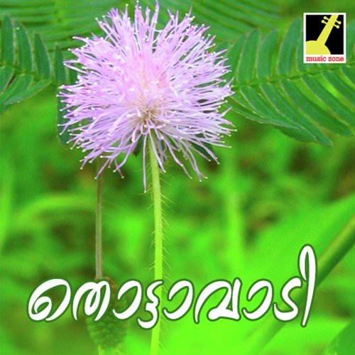 Rajarajeswari Devi - Satheesh Rajapuram