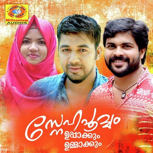 Gulfu Nattilulla - Various Artists