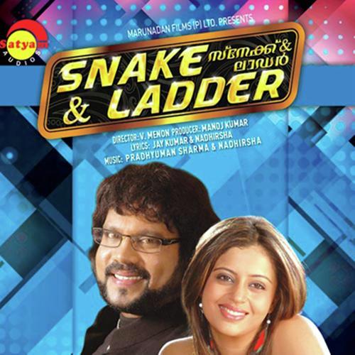 Painkileeyalle - M. G. Sreekumar, K. S. Chithra, K. S. Chithra, K.J. Yesudas, Kalabhavan Mani