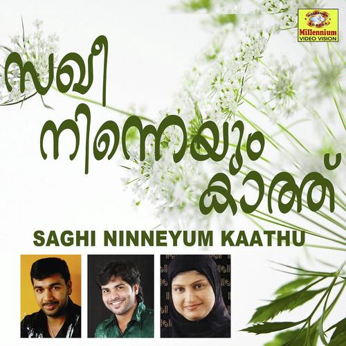 Venpulari - Shafi Kollam