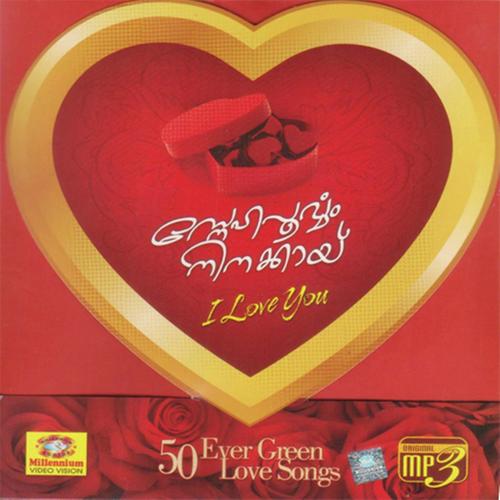 Neyyanellam - Najeem