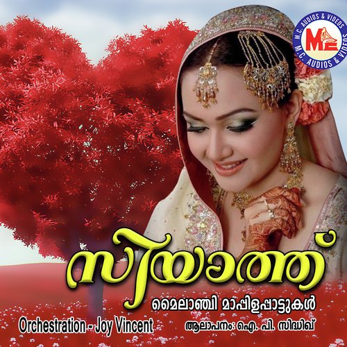 Aminaabee Pette - Bappu Velliparamba, Chand Pasha, M. S. Baburaj
