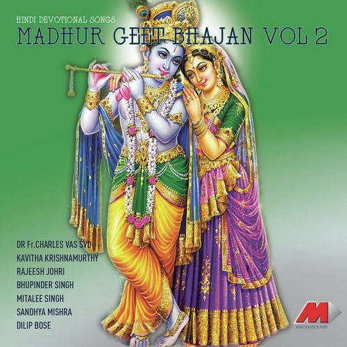 Tu Vishal Hai - Kavita Krishnamurthy