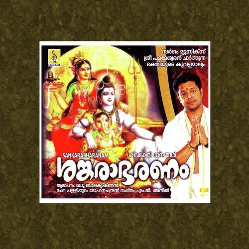 Rishinagakulamakum - Madhu Balakrishnan