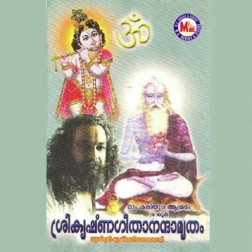 Krishna Hare Krishna - Various Artists