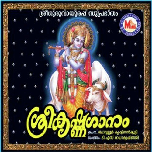 Radhakrishna - Various Artists