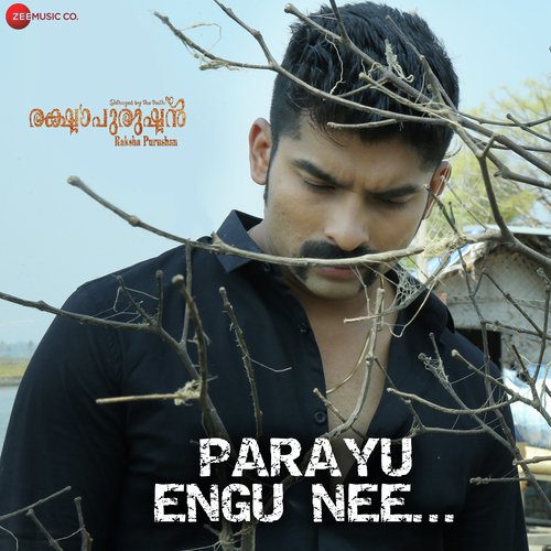 Pranayam En Kanavil - Jibin George Sebastian