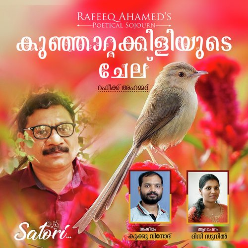 Kunjatta Kiliyude Chelu - Dhini Sunil