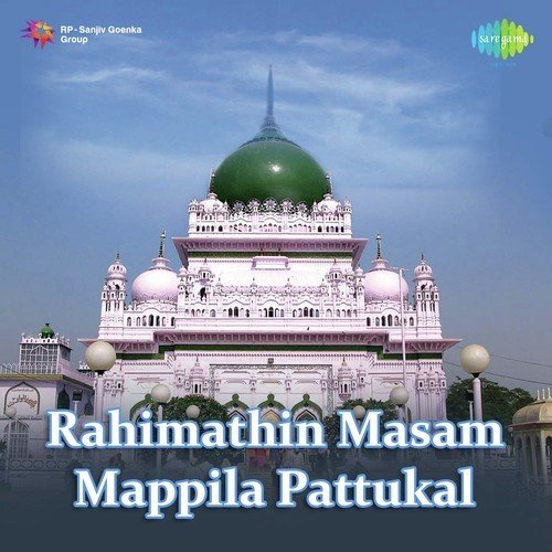Ameena Beevi - Various Artists