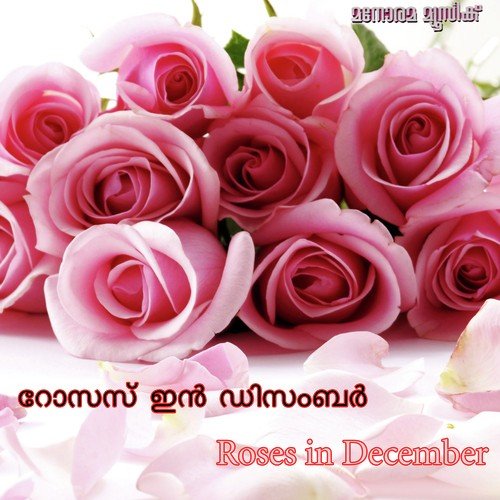 Manjuveenu - Various Artists