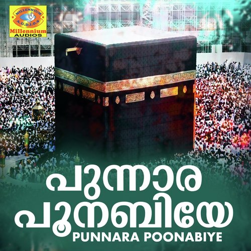 Chandamere Chindidunne - Various Artists