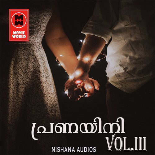 Nilavu Pole Vannavale - Subair