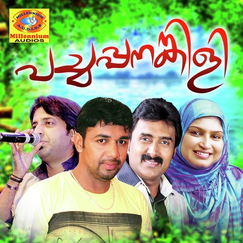 Vellinilavinte - Various Artists