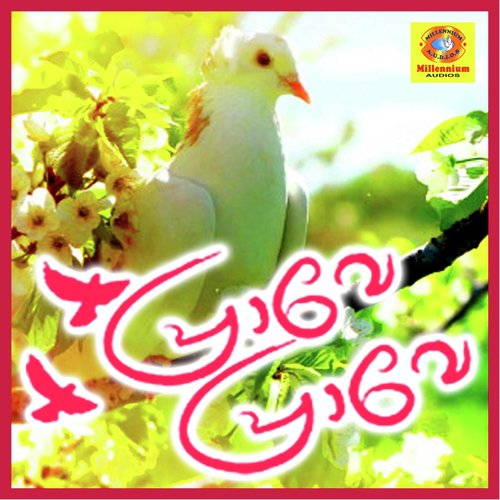 Aarodum Parayaruthe - Parameshwar