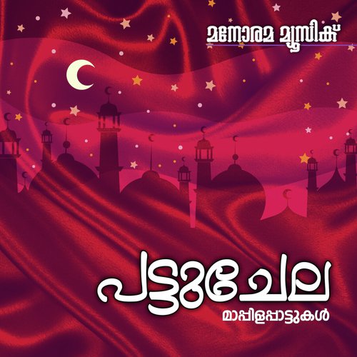 Pattuchela Madanam - Bappu Velliparamba