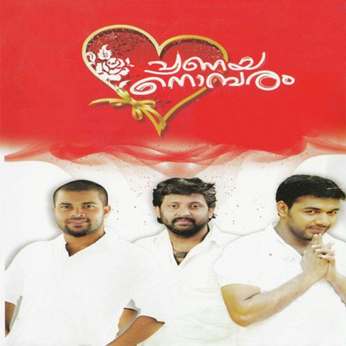 Pranayathe - Sakeer Aluva, Shafi Kollam, Sakeer Aluva, Saleem Kodathoor, Manu Mahesh