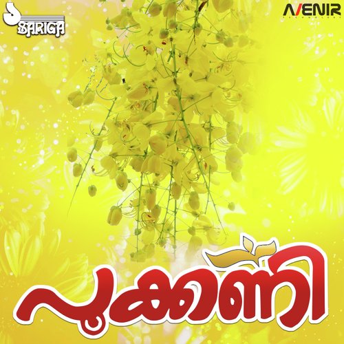 Ponnalayil Neeradi - Alleppey Ranganath