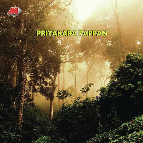 Kokkum Poonjirakum - S.P. Venkatesh