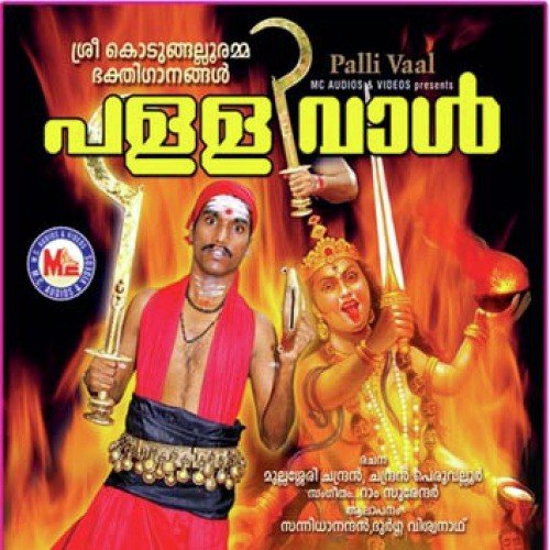 Pallival - Various Artists