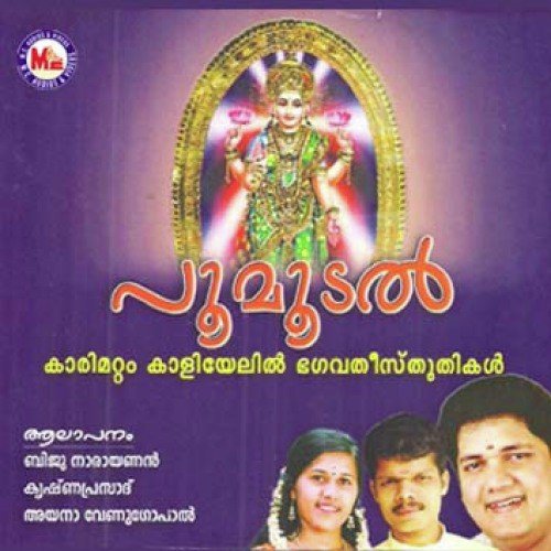 Kaaliyar Puzha - Various Artists