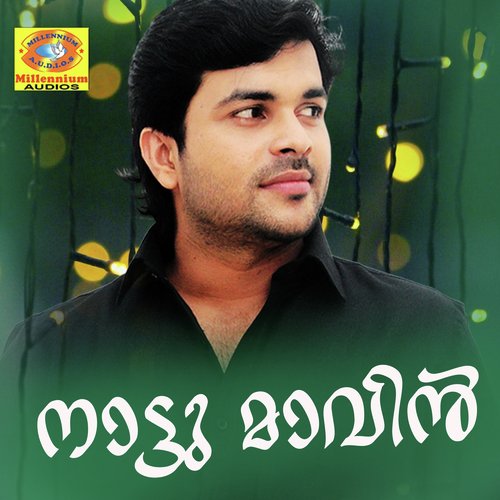 Naattumavin - Various Artists