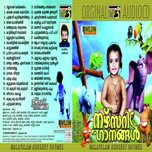 Amminja Thannathum - Various Artists
