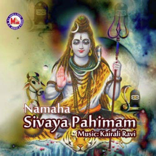 Namasivaya Namasivaya - Various Artists