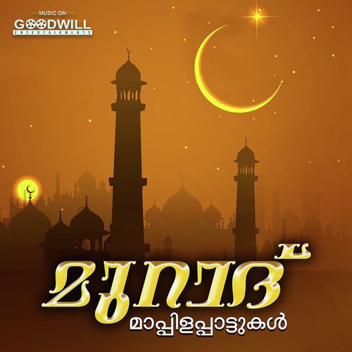 Attamidhadidum - Various Artists