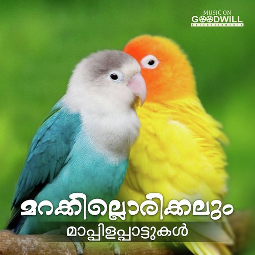 Aval Illa Ee Ravil - Various Artists