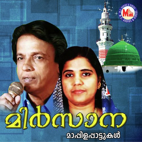 Chaanchakkam Chaayunna - Various Artists