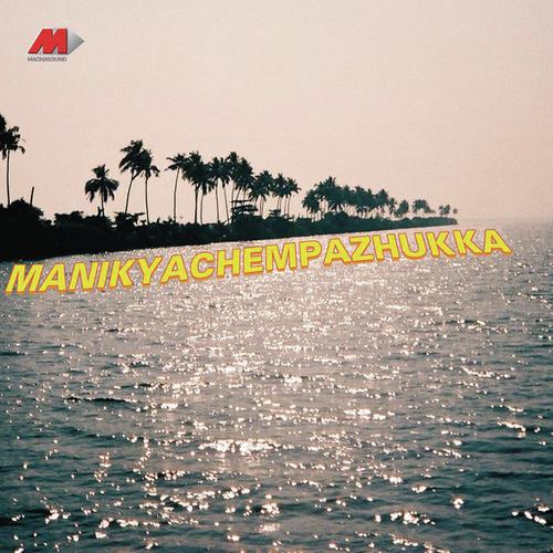 Parvanendu - C. Rajamani