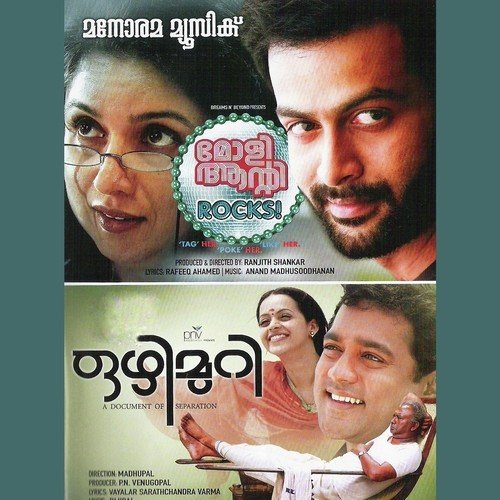 Vaakkinullile - Various Artists