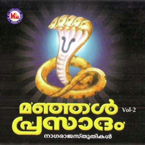Mannarasalayile Naga - Various Artists