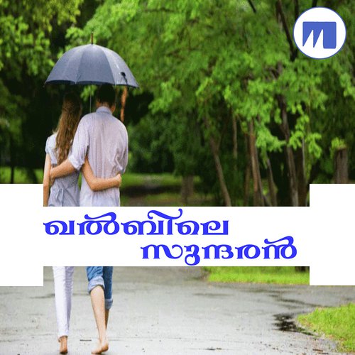 Nee Ente - Various Artists