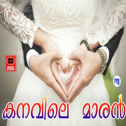Nin Karalil - Sleem Kodathoorum, Hasim Manajeera