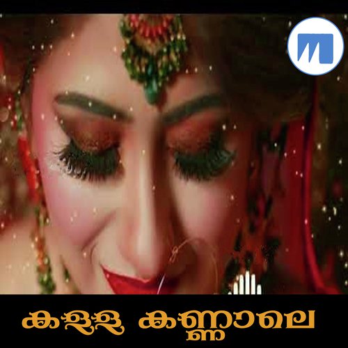 Ravin Nilavil - Shanu