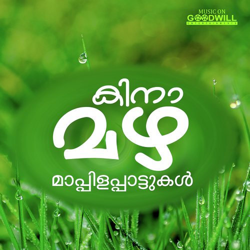 Natta Paathiraykku - Various Artists