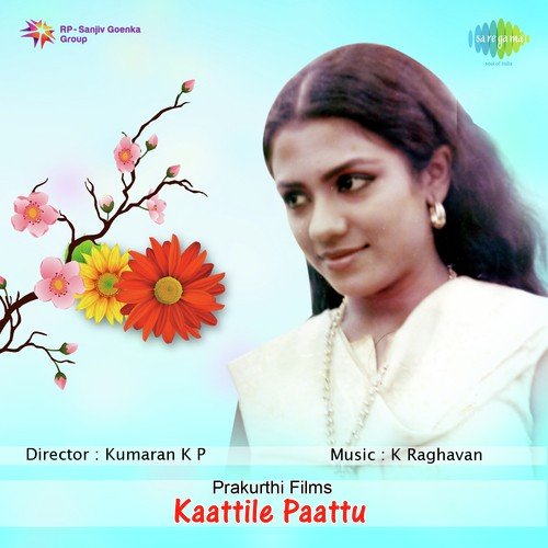Karimanakkuda Choodi - K. Raghavan