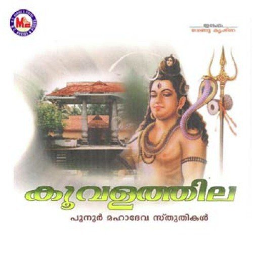 Sankara Namosthuthe - Various Artists