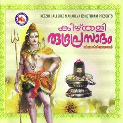 Om Sivaya Nama - Various Artists
