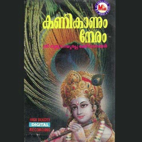 Devi Bhagavathi - Various Artists