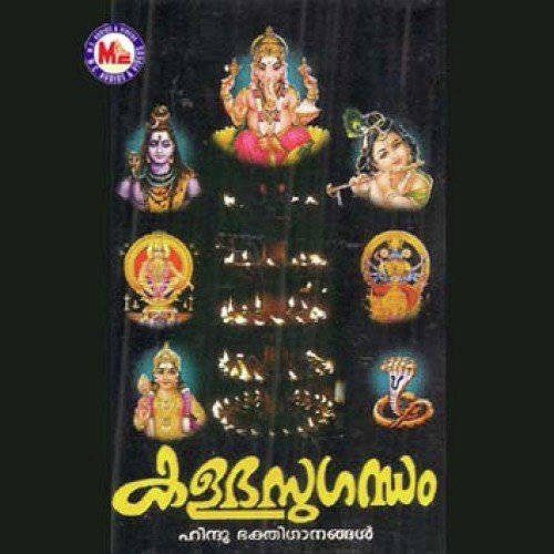 Sidhi Daayakaa - Various Artists