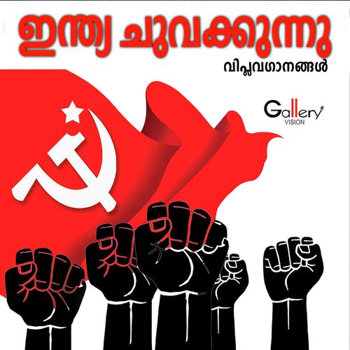 Nalloru Naale Njangalkaayi - Various Artists