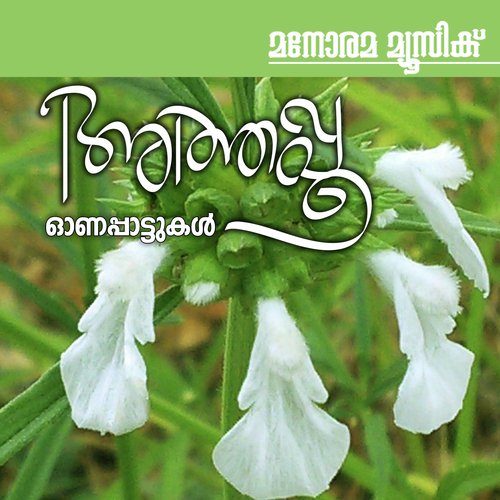 Onam Koodan (From Aavanithingal) - KS Harisankar