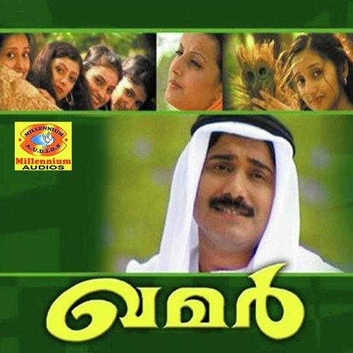 Nee Panden - Various Artists