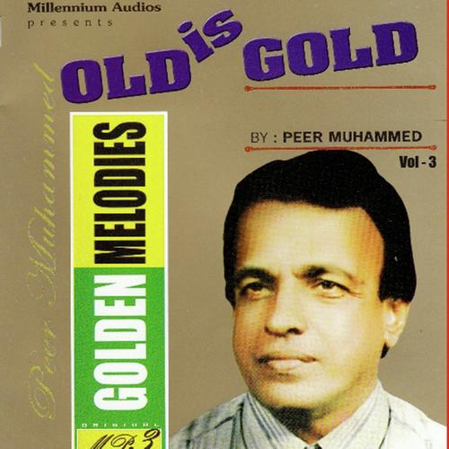 Nabeesathu beevi - Peer Muhammed