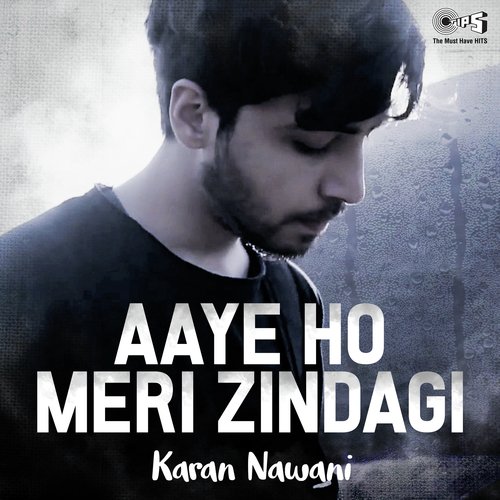 Aaye Ho Meri Zindagi Mein Cover by Karan Nawani  - Karan Nawani